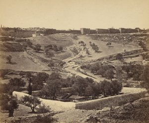 Jerusalem. Garden of Gethsemane by James Robertson